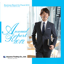 Business Report 2013