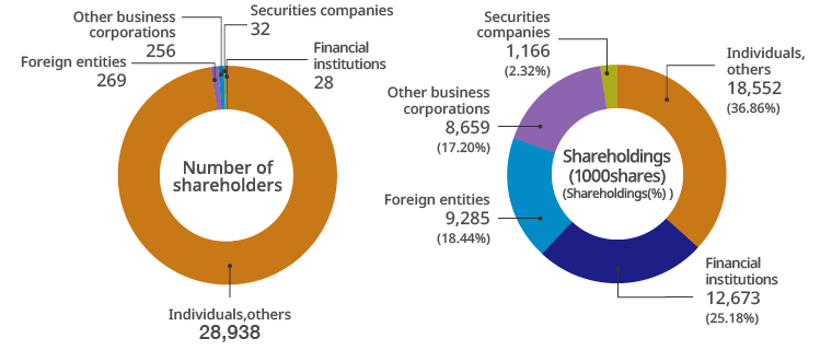 Distribution of Shareholders